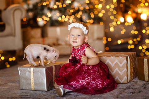 новогодние фотосессии | Family christmas pictures, Christmas family ...
