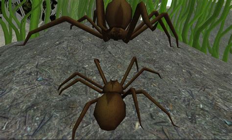 Spider Simulator APK for Android Download