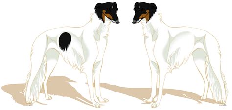 Borzoi Import 4 - CLOSED by ForgottenAmnesty on DeviantArt