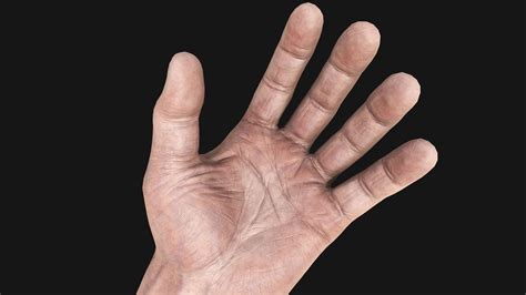 hq male arms  model  game ready studios