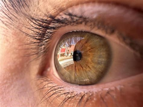 Do I have jewel-toned eyes? : r/coloranalysis