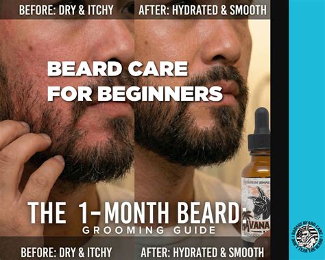 Aesthetic Beard Care For Beginners