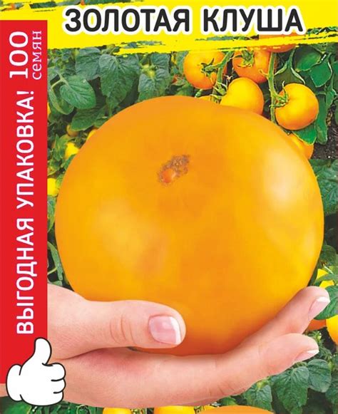 Семена Томат Золотая клуша МАКСИ: описание сорта, фото - купить с ...