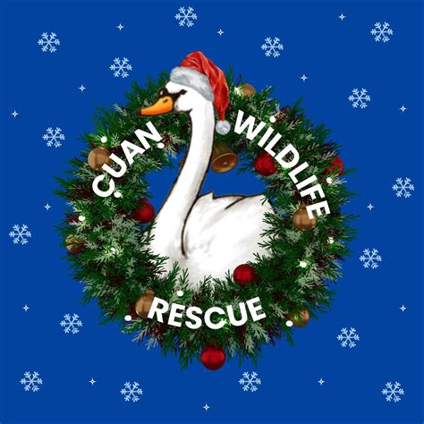 Catherine Holland-Bax