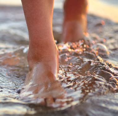 Wound Care | Ancillary Services