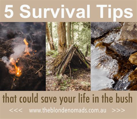 5 Survival Tips That Could Save Your Life In The Bush