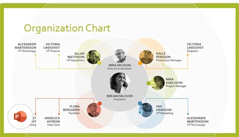 organization chart powerpoint template
