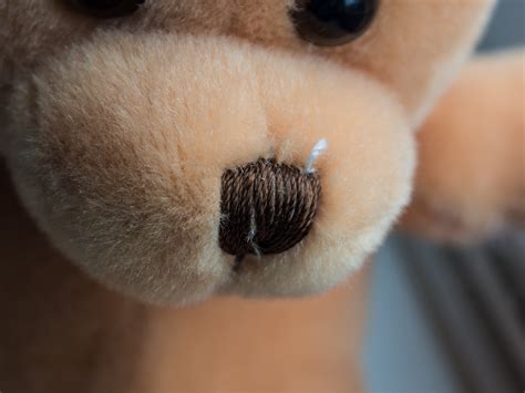 Brown teddy bear nose HD wallpaper | Wallpaper Flare