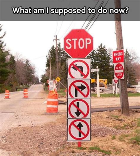 What am I supposed to do now