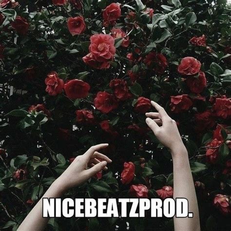 Stream Nicebeatzprod. - Ты Снишься Мне Во Снах by BIZONBEATZ ⍟ | Listen ...