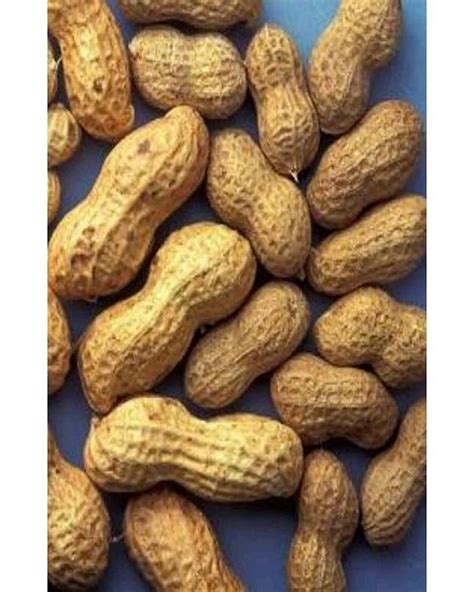 Mong Phali Peanuts 500g Price in Pakistan - View Latest Collection of ...