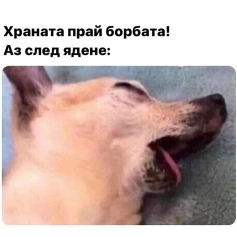 Вицове И Смешни Снимки - Начало | Facebook