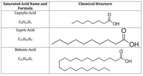 Fatty Acid Structure, Length & Examples - Lesson | Study.com