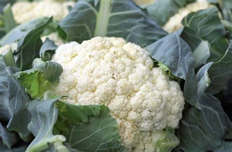 Beneficios y propiedades de la Coliflor
