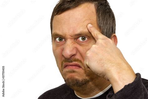 vogel zeigen stock foto adobe stock