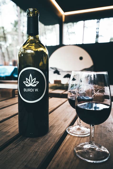 Scandalo e rivoluzione a Bordeaux: nasce il primo vino alla canapa ...