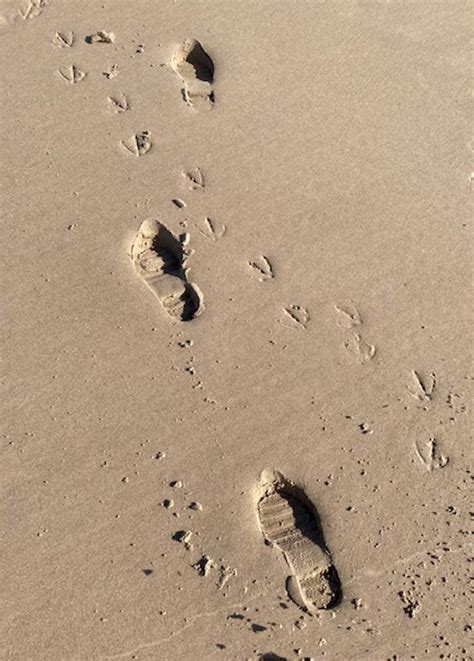 Sands of Time