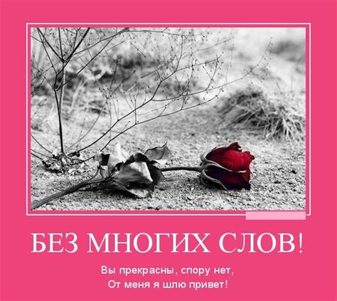 Вы прекрасны - красивые картинки (50 фото) • Прикольные картинки Klike.net
