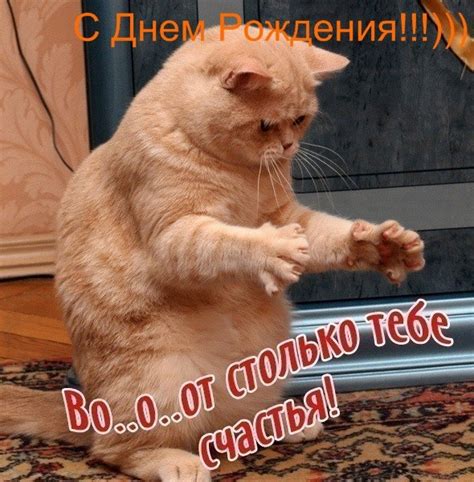 Поздравления с Днём рождения с котами - Живые поздравительные открытки ...