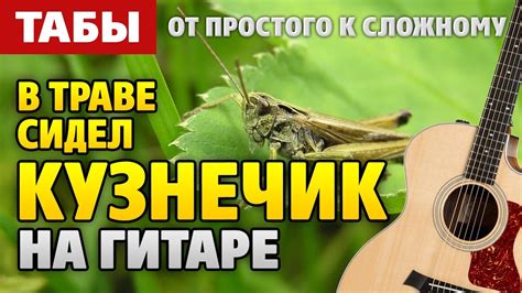 Как играть КУЗНЕЧИКА на гитаре (fingerstyle guitar cover by Kaminari ...