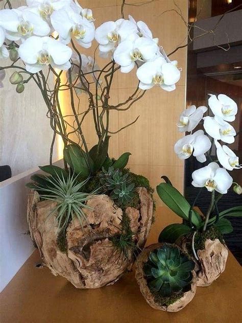 Pin de Lizette Kuri de Mendoza em Gardens, patios and outdoor living ...