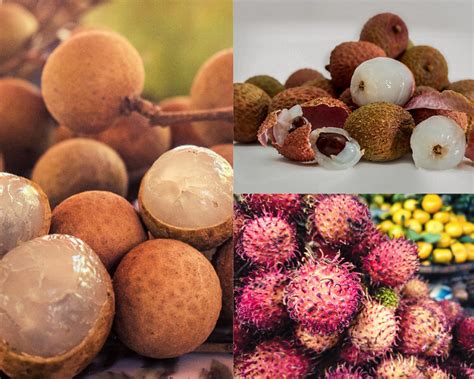 Longan Fruit Vs Lychee