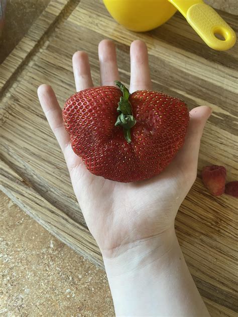 Giant Strawberry 🍓 : r/fruit