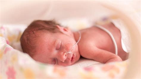 Bebes Prematuros: últimas noticias e imágenes - Revista ¡HOLA!