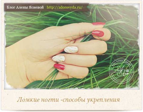 Как укрепить ногти простым и всем доступным способом