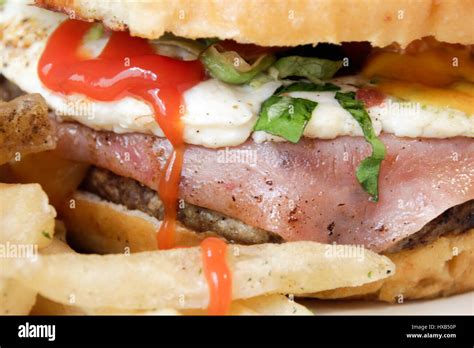 photograph   hamburger close  stock photo alamy