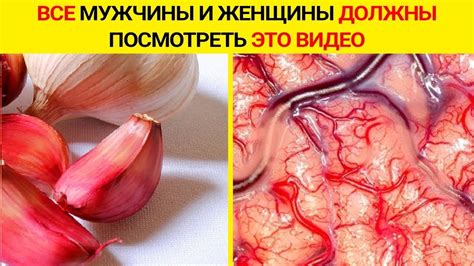 Принимайте Чеснок, но не Совершайте ОШИБКУ, Что Происходит, когда Вы ...