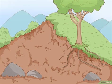 erosion control illustrations royalty  vector graphics clip