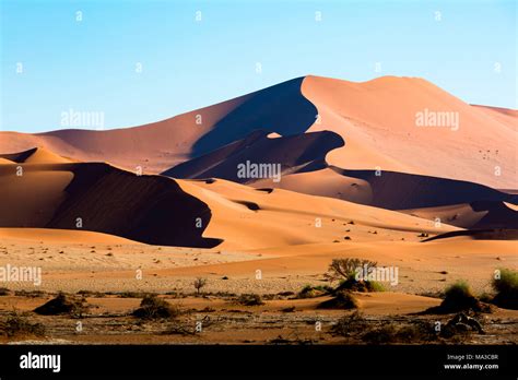 Sossusvlei, Namib desert, sand dunes during the golden hour. Namibia ...