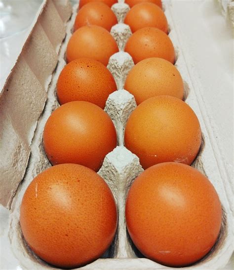 Huevos Huevera Desayuno - Foto gratis en Pixabay - Pixabay