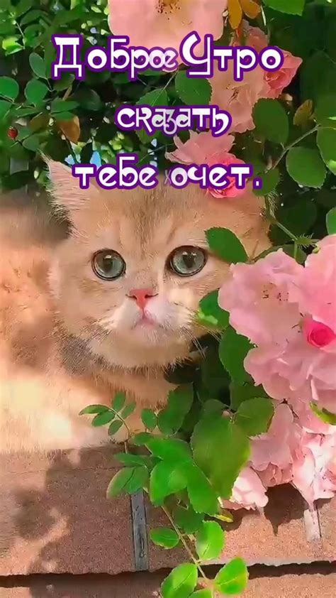 Пин от пользователя Любовь на доске Открытки | Успокаивающие цитаты ...