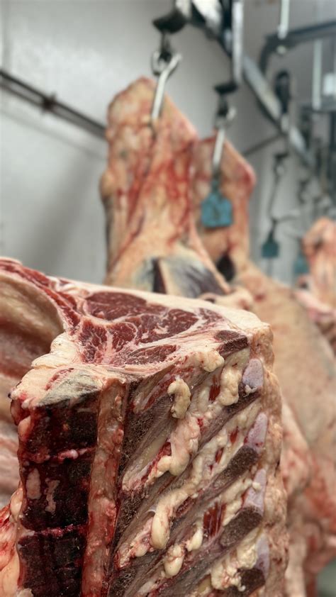 Quarter Beef – Your Local Ranch