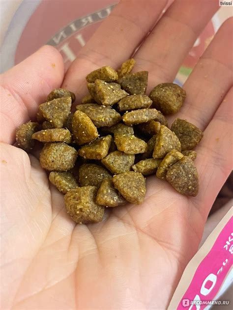 Сухой корм для собак мелких пород Purina Мини "Здоровый вес", с ...