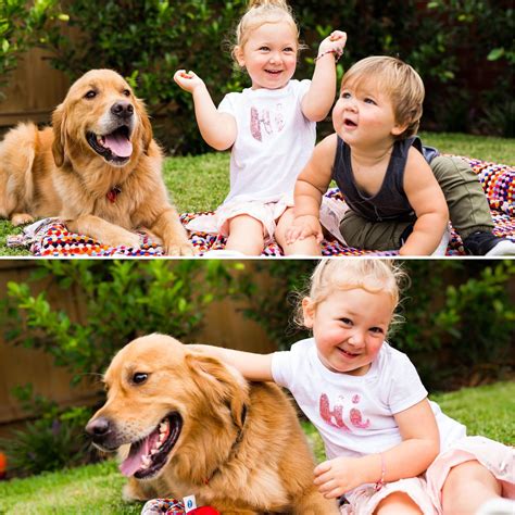 Are Dogs Like Kids