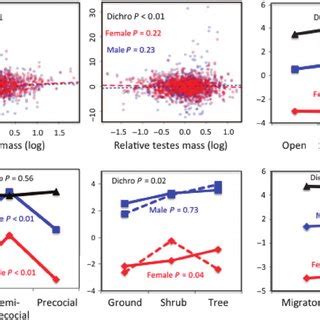 natural  sexual selection act   types  variation