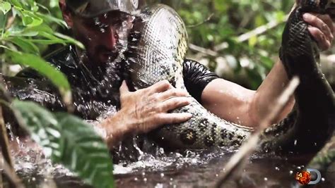 Man eaten by anaconda: 'Last thing I saw was her mouth'