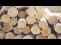 lignoloc wood nail gun nails dudeiwantthatcom