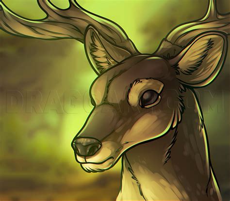 draw  deer head  kids