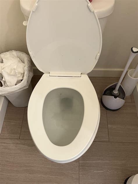 Is this what a full septic looks like? : r/homeowners