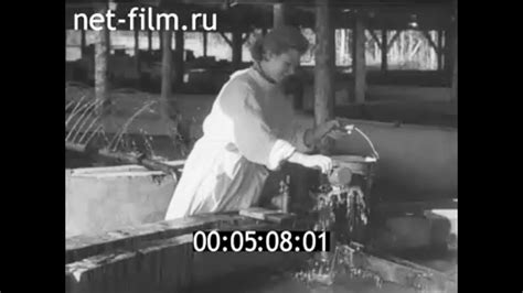 1959г. п. Сосновец. Выгский рыбоводный завод. Беломорский район Карелия ...