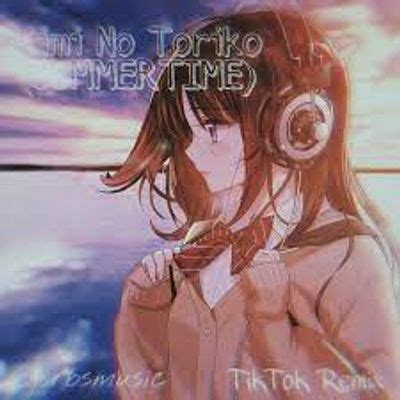 Kimi No Toriko 악보