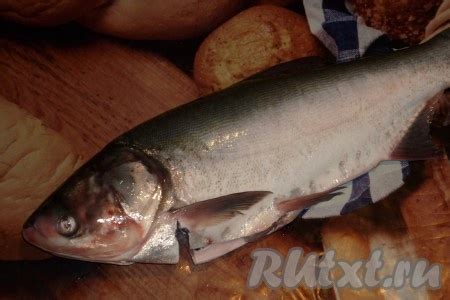 Толстолобик в кляре: 9 фото в рецепте