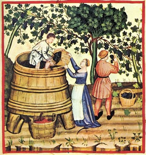 Pin on Medieval Food