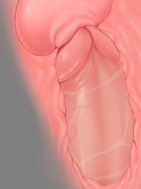 Rule 34 - 1boy cervical contact cervical penetration cervix cross