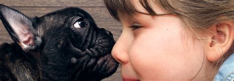 Treating Your Dog's Dry Nose | Hill's Pet