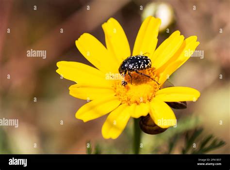 Two of us Stock Photo - Alamy